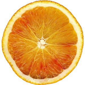 Orange PNG image, free download-812